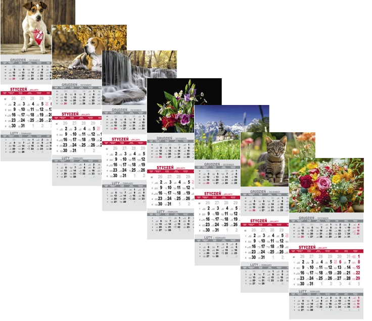 Kalendarz naścienny trójdzielny 32x80cm 2026 Darrieus