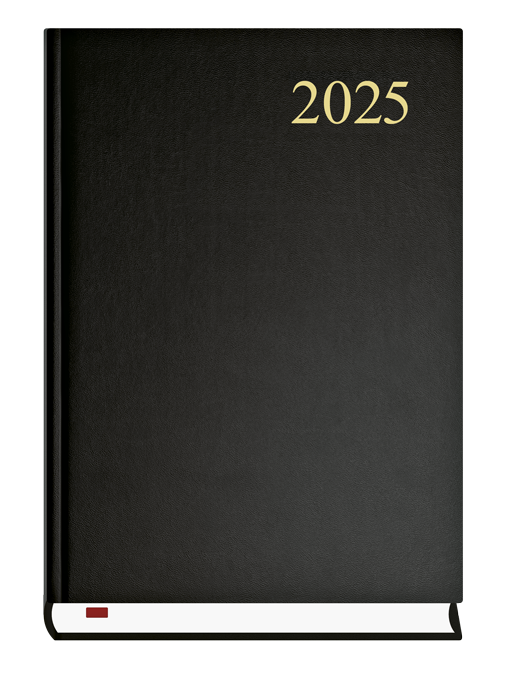 Kalendarz terminarz książkowy dzienny A5 2026 Asystent Michalczyk