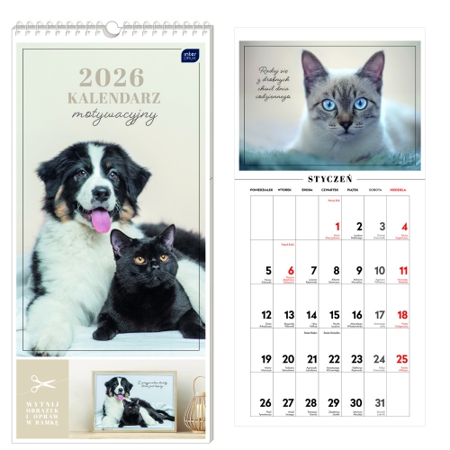 Kalendarz naścienny notatnikowy 22x46cm 2026 Motywacyjny zwierzaki Interdruk