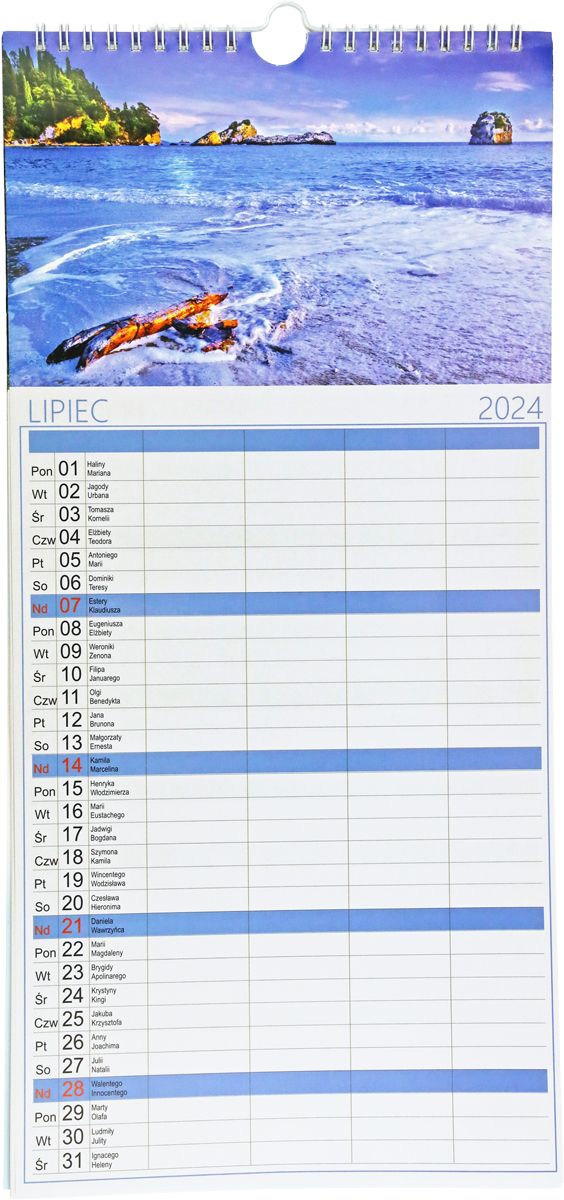 Kalendarz naścienny notatnikowy 21x45cm 2026 Darrieus