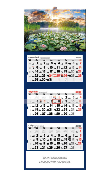 Kalendarz naścienny trójdzielny 32x86cm 2026 lilie wodne Jotan
