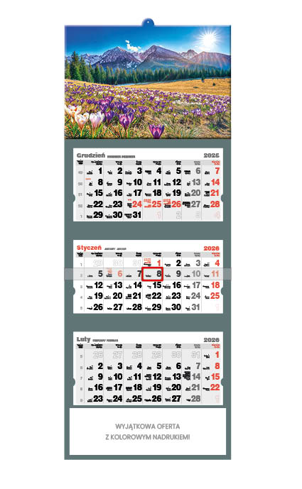 Kalendarz naścienny trójdzielny 32x86cm 2026 krokusy Jotan