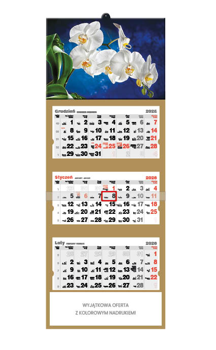 Kalendarz naścienny trójdzielny 32x86cm 2026 orchidea Jotan