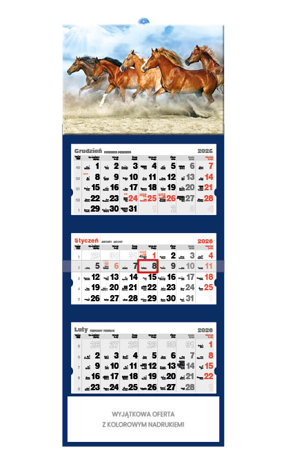 Kalendarz naścienny trójdzielny 32x86cm 2026 konie Jotan