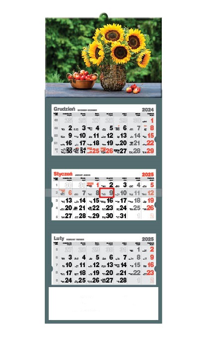 Kalendarz naścienny trójdzielny 32x86cm 2026 żabka Jotan