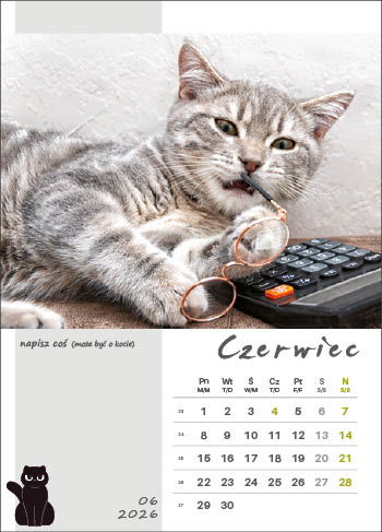 Kalendarz wieloplanszowy naścienny 32x50cm 2026 kot w biurze Jotan
