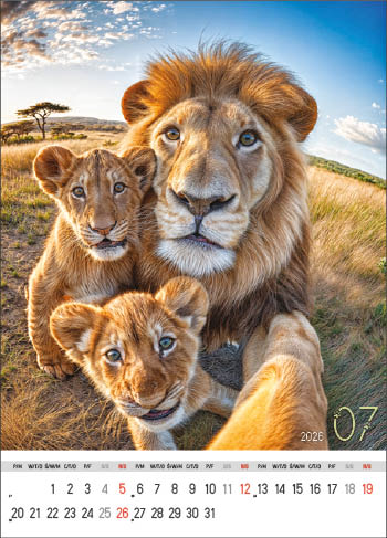 Kalendarz wieloplanszowy naścienny 32x50cm 2026 selfie Jotan