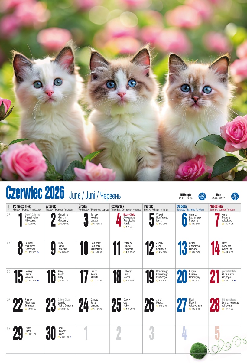 Kalendarz naścienny wieloplanszowy 32x47cm 2026 koty Pan Kalendarzyk