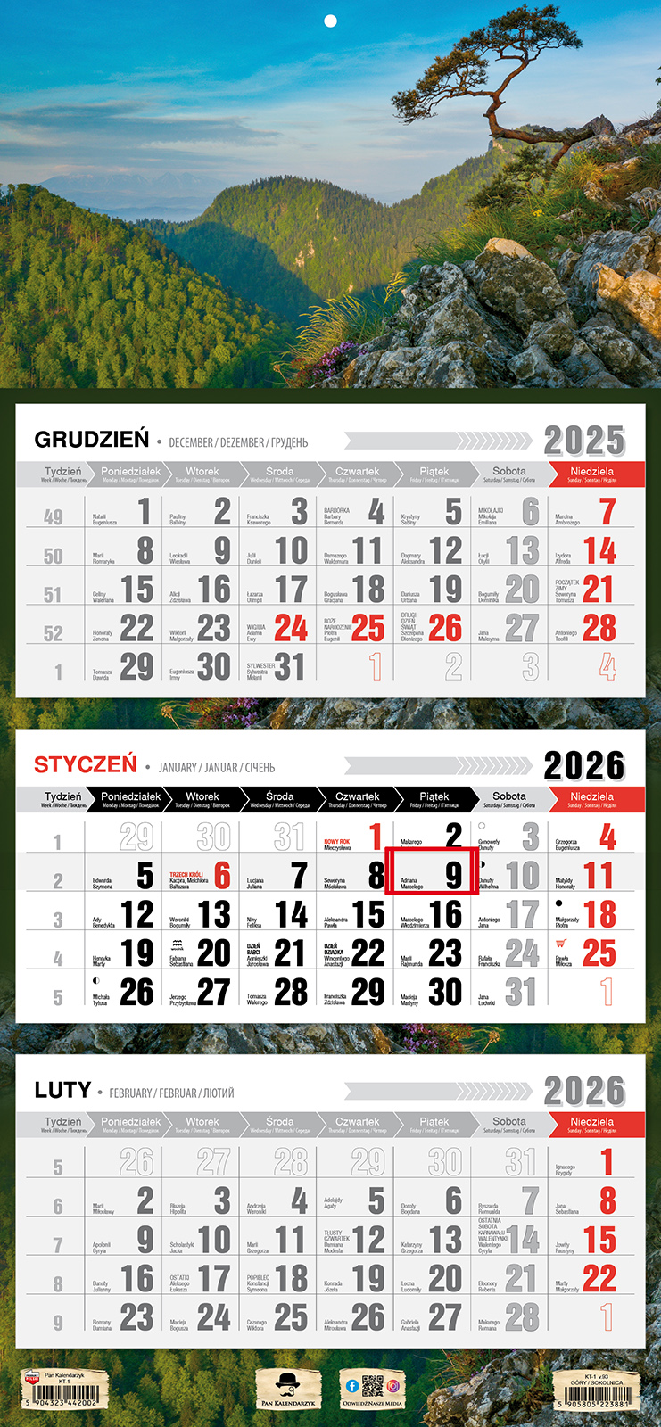 Kalendarz naścienny trójdzielny 32x68cm 2026 Sokolnica Pan Kalendarzyk