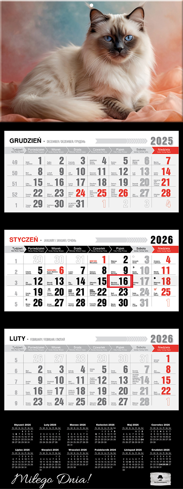 Kalendarz naścienny trójdzielny 32x81cm 2026 Kot Pan Kalendarz