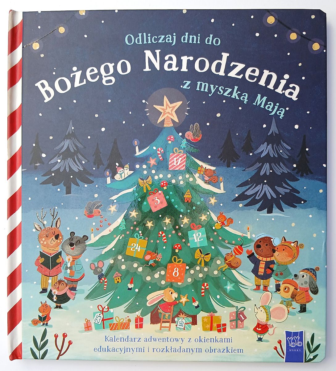Odliczaj dni do Bożego Narodzenia z myszką Mają 27x25cm/12str YOYO BOOKS