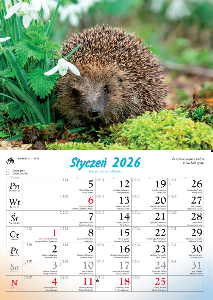 Kalendarz naścienny rodzinny 28x40cm 2026 leśni przyjaciele Lucrum