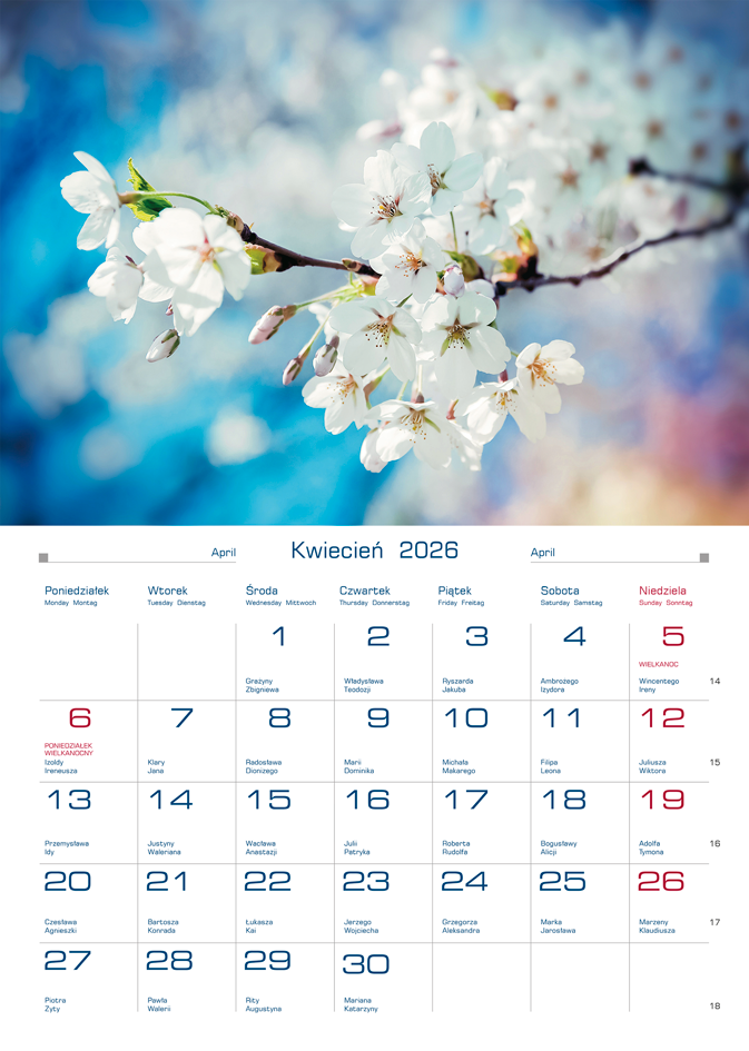 Kalendarz naścienny wieloplanszowy 20x28cm 2026 Krajobrazy górskie Michalczyk