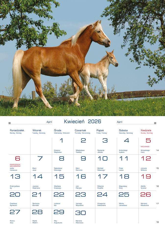 Kalendarz naścienny wieloplanszowy 20x28cm 2026 konie Michalczyk