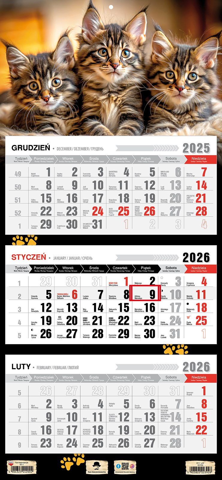 Kalendarz naścienny trójdzielny 32x68cm 2026 kotki Pan Kalendarzyk