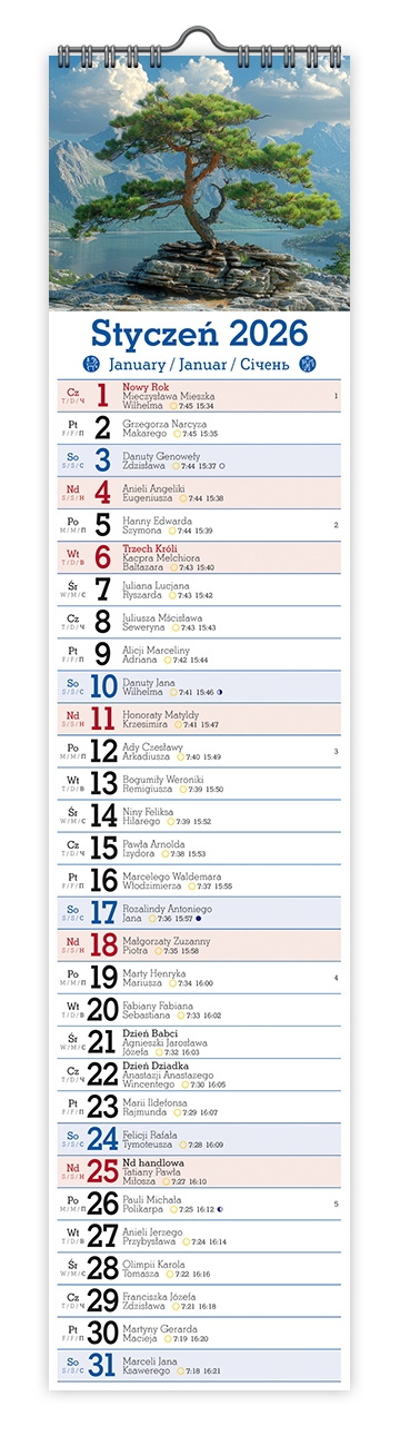 Kalendarz naścienny wieloplanszowy notatnikowy 10x47cm 2026 Pan Kalendarzyk