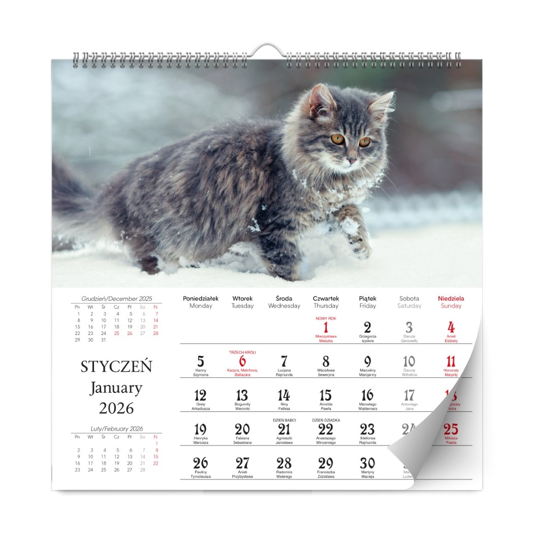 Kalendarz naścienny wieloplanszowy 33x33cm 2026 Lux kociaki Kalpolbis