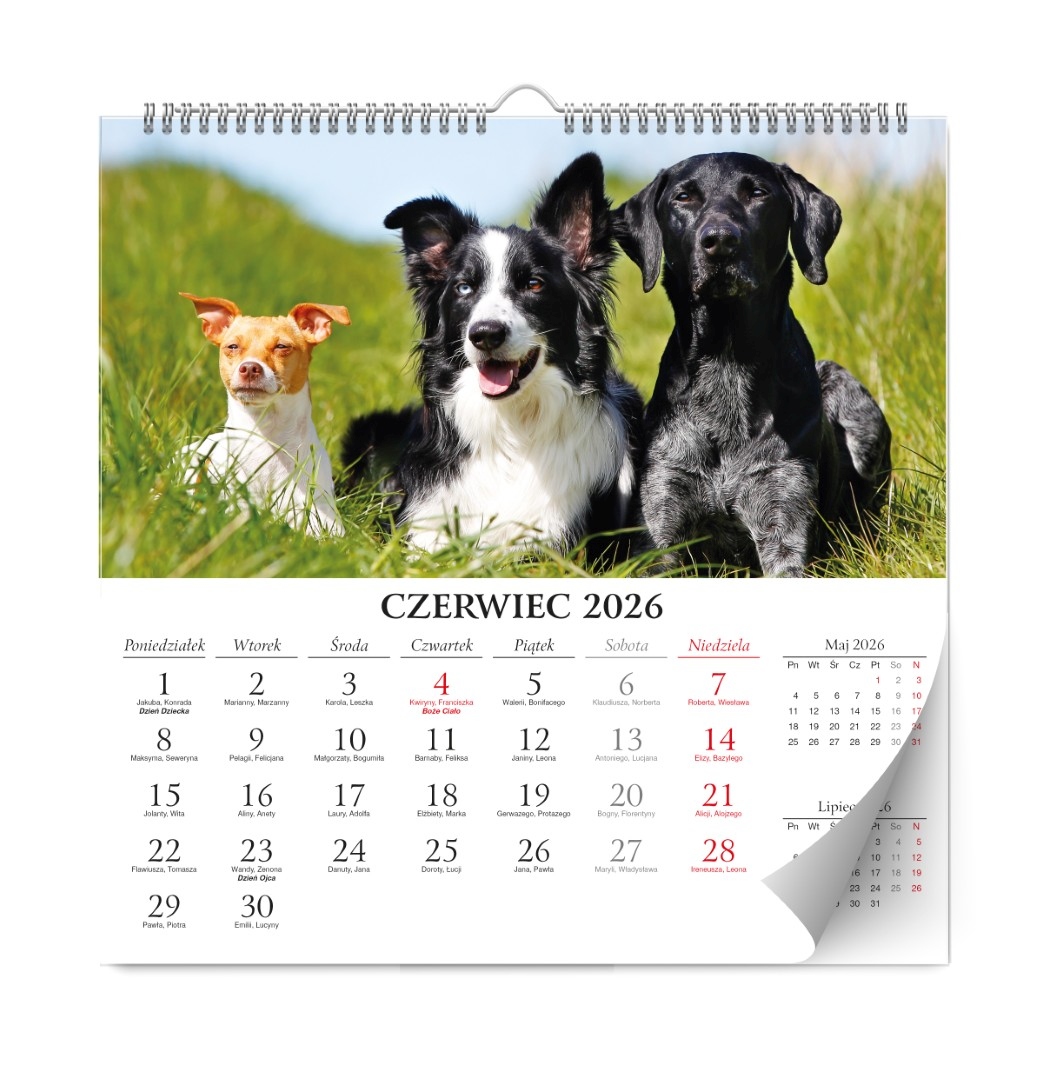 Kalendarz naścienny wieloplanszowy 33x33cm 2026 Lux psy Kalpolbis