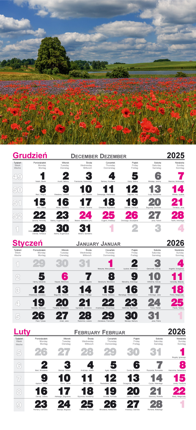 Kalendarz naścienny trójdzielny 28x68cm 2026 maki Radwan