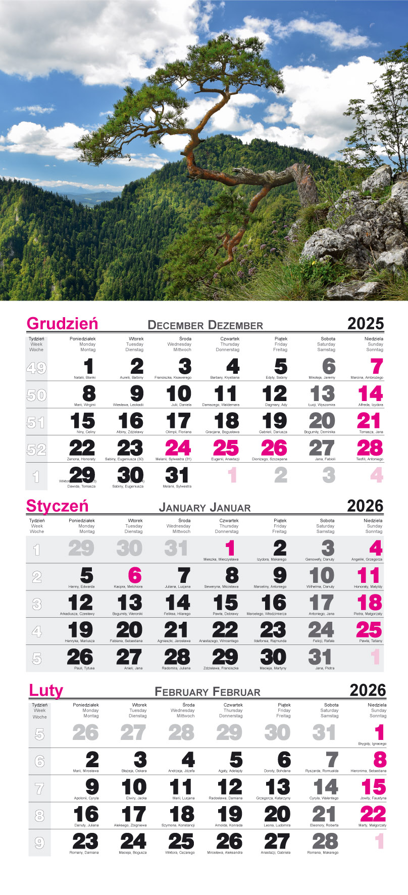 Kalendarz naścienny trójdzielny 28x68cm 2026 Pieniny Radwan