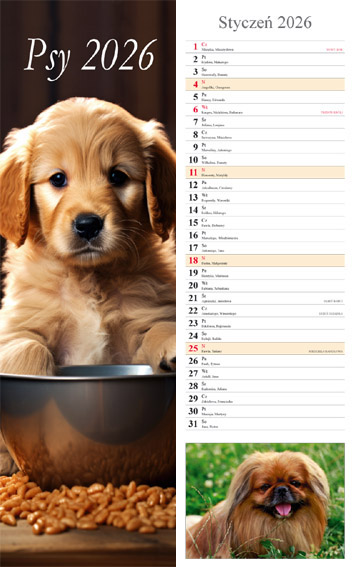 Kalendarz notatnikowy wieloplanszowy 15x48cm 2026 Psy Radwan