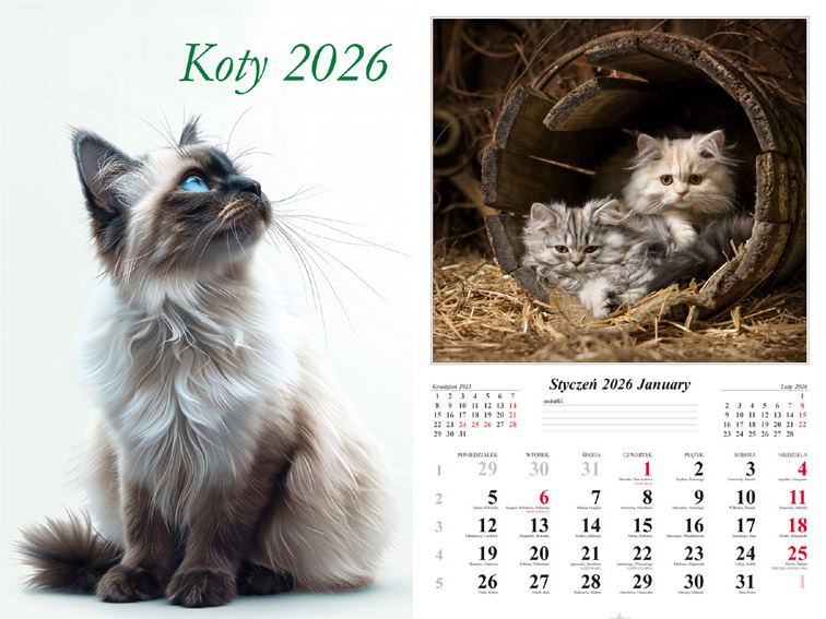 Kalendarz naścienny wieloplanszowy 32x48cm 2026 koty Radwan