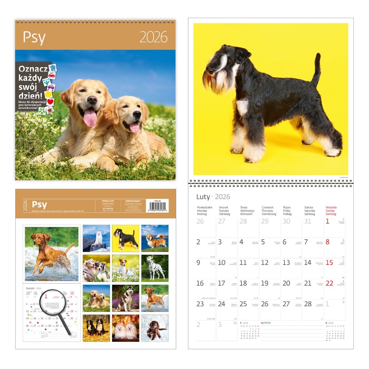 Kalendarz naścienny wieloplanszowy z naklejkami 30x60cm 2026 psy Helma
