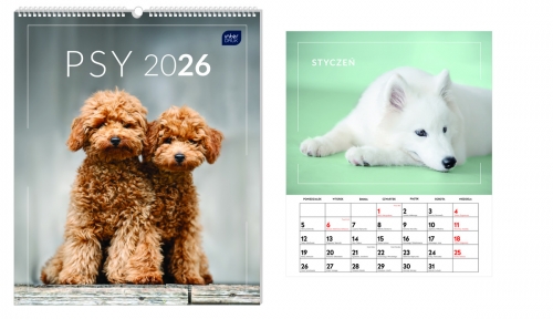 Kalendarz naścienny wieloplanszowy 34x40cm 2026 psy Interdruk