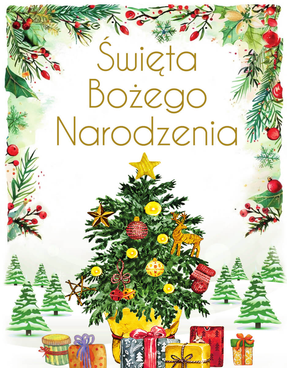 Święta Bożego Narodzenia 144str SBM