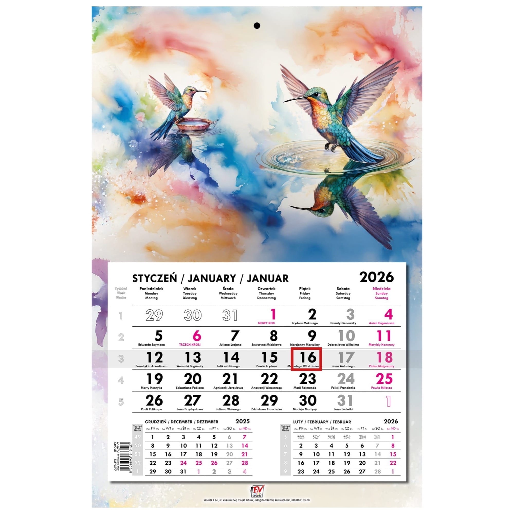 Kalendarz naścienny jednodzielny 31x48cm 2026 koliber EV-Corp