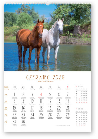 Kalendarz wieloplanszowy naścienny A3 32x47cm 2026 konie Lucrum