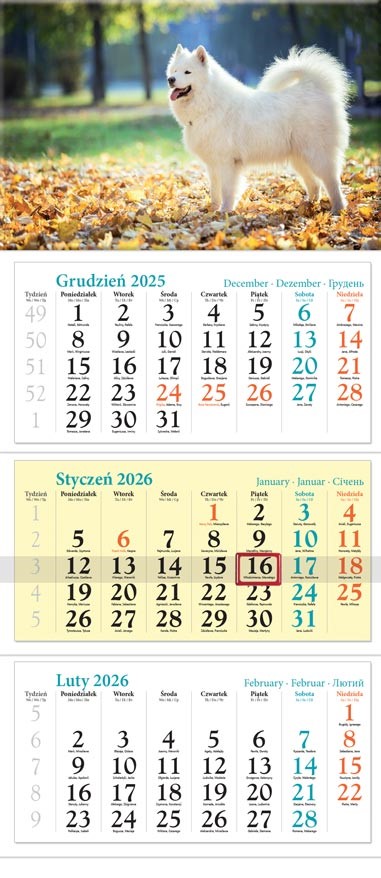 Kalendarz naścienny trójdzielny 32x86cm 2026 pies Lucrum