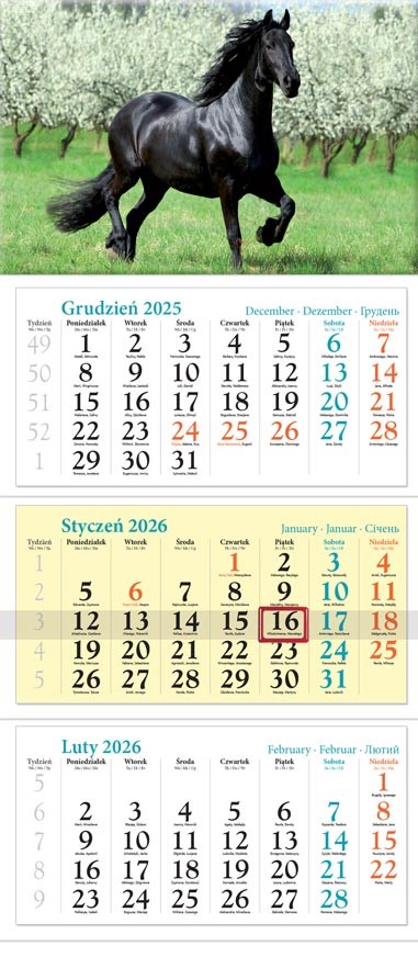 Kalendarz naścienny trójdzielny 32x86cm 2026 koń Lucrum