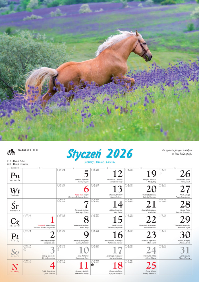 Kalendarz naścienny rodzinny 28x40cm 2026 konie Lucrum
