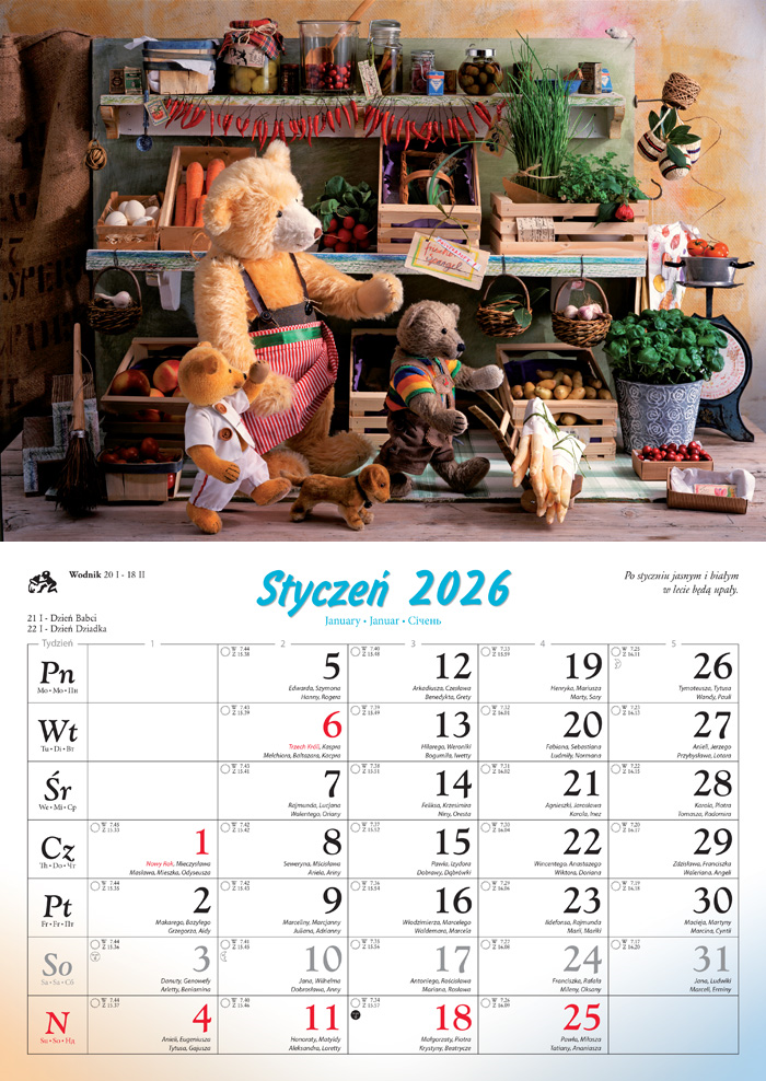 Kalendarz naścienny rodzinny 28x40cm 2026 misie Lucrum