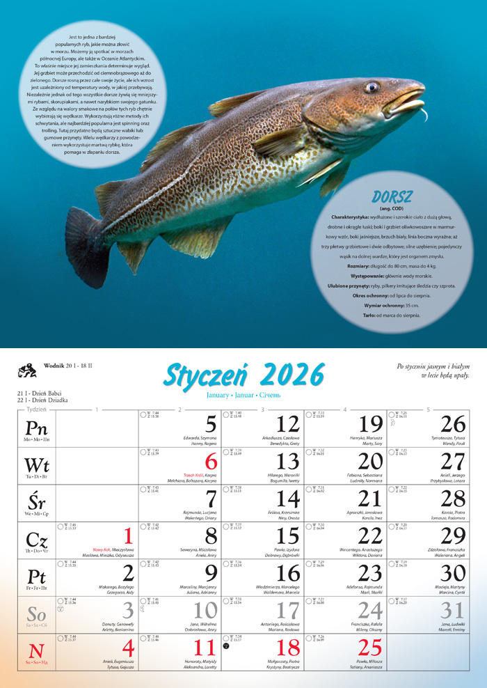 Kalendarz naścienny rodzinny 28x40cm 2026 wędkarski Lucrum
