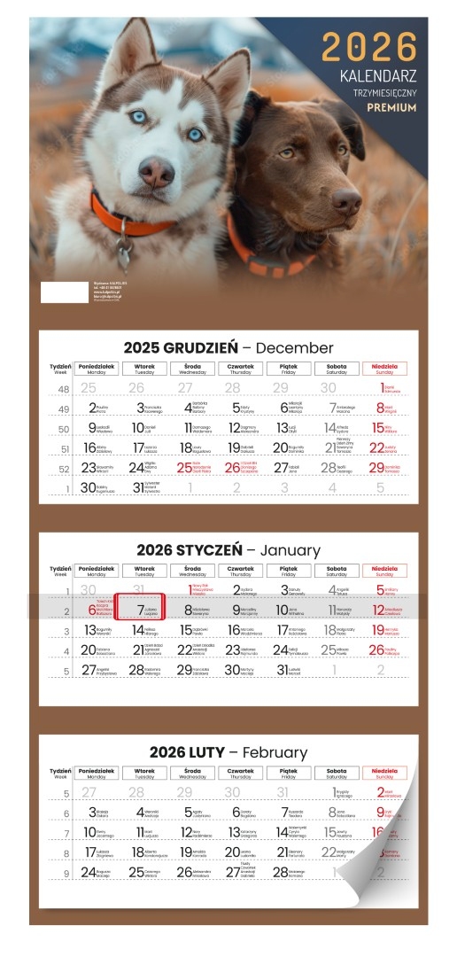 Kalendarz naścienny trójdzielny 31x71cm 2026 premium psy Kalpolbis