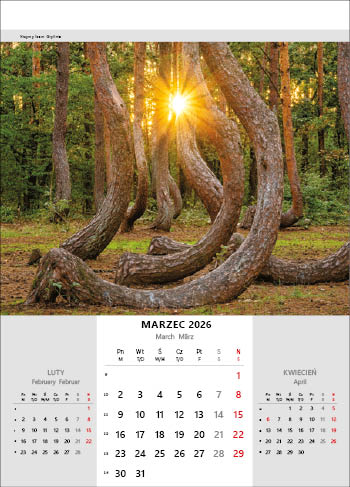Kalendarz wieloplanszowy naścienny 32x50cm 2026 Polska Jotan
