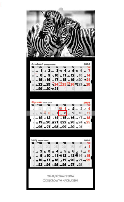 Kalendarz naścienny trójdzielny 32x86cm 2026 zebra Jotan