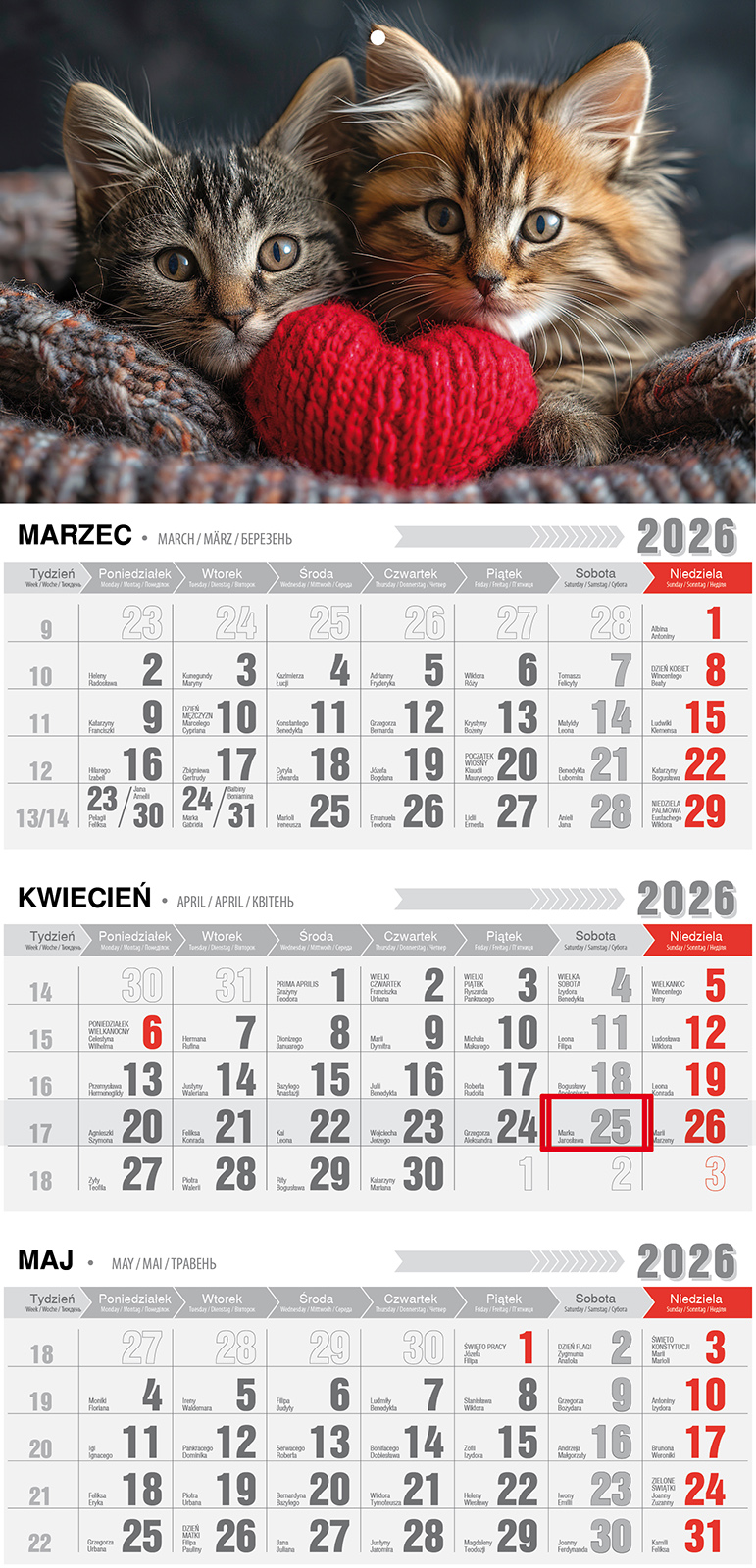 Kalendarz naścienny trójdzielny z magnesem 32x68cm 2026 koty Pan Kalendarzyk