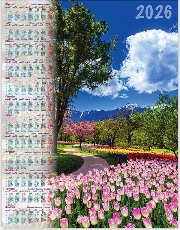 Kalendarz jednoplanszowy ścienny B1 68x98cm 2026 park Telegraph