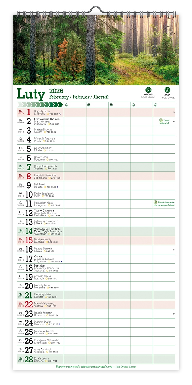 Kalendarz naścienny wieloplanszowy notatnikowy 22x47cm 2026 las Pan Kalendarzyk