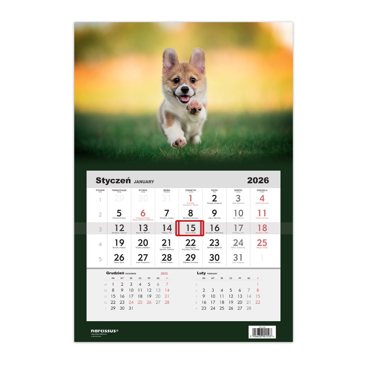 Kalendarz naścienny jednodzielny 32x48cm 2026 pies Helma