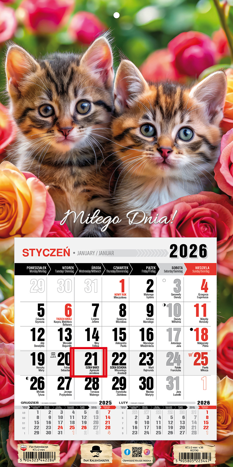Kalendarz naścienny jednodzielny z magnesem 23x46cm 2026 kotki Pan Kalendarzyk