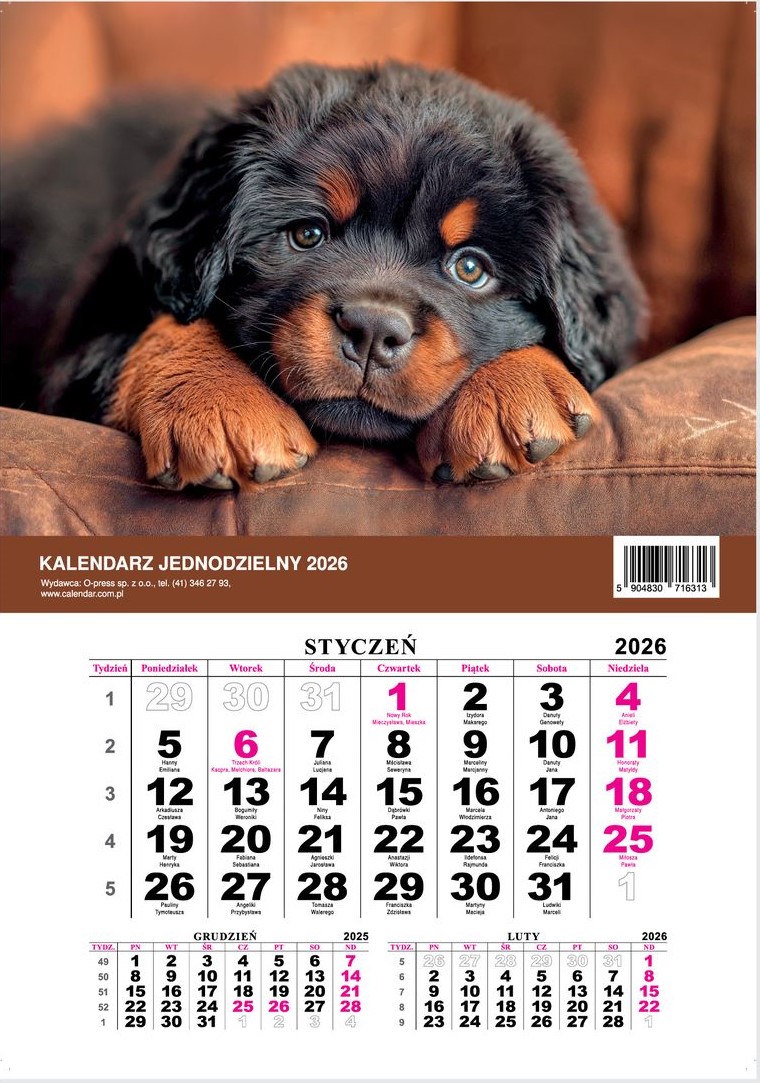 Kalendarz naścienny jednodzielny 21x30cm 2026 koty O-Press