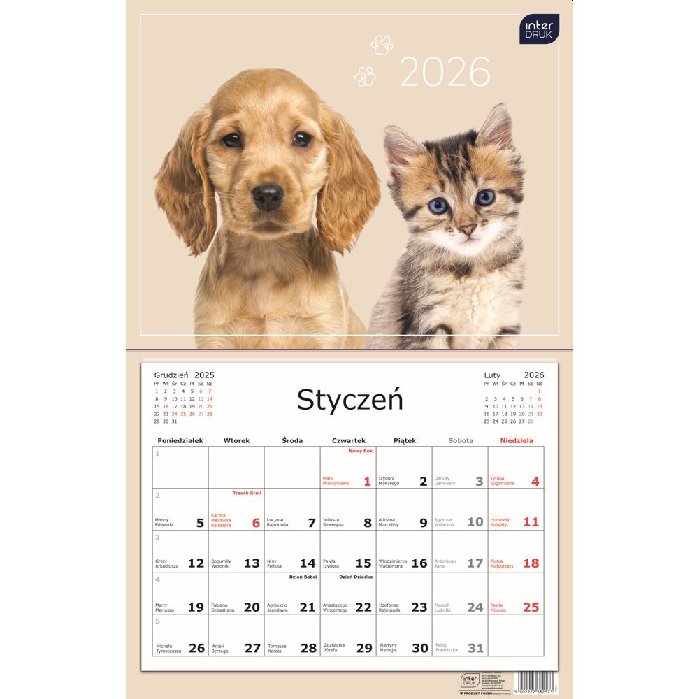 Kalendarz naścienny jednodzielny 32x50cm 2026 psy Interdruk