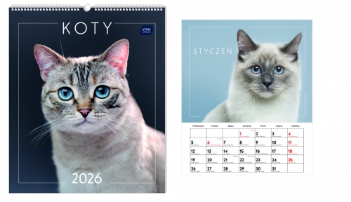 Kalendarz naścienny wieloplanszowy 34x40cm 2026 koty Interdruk
