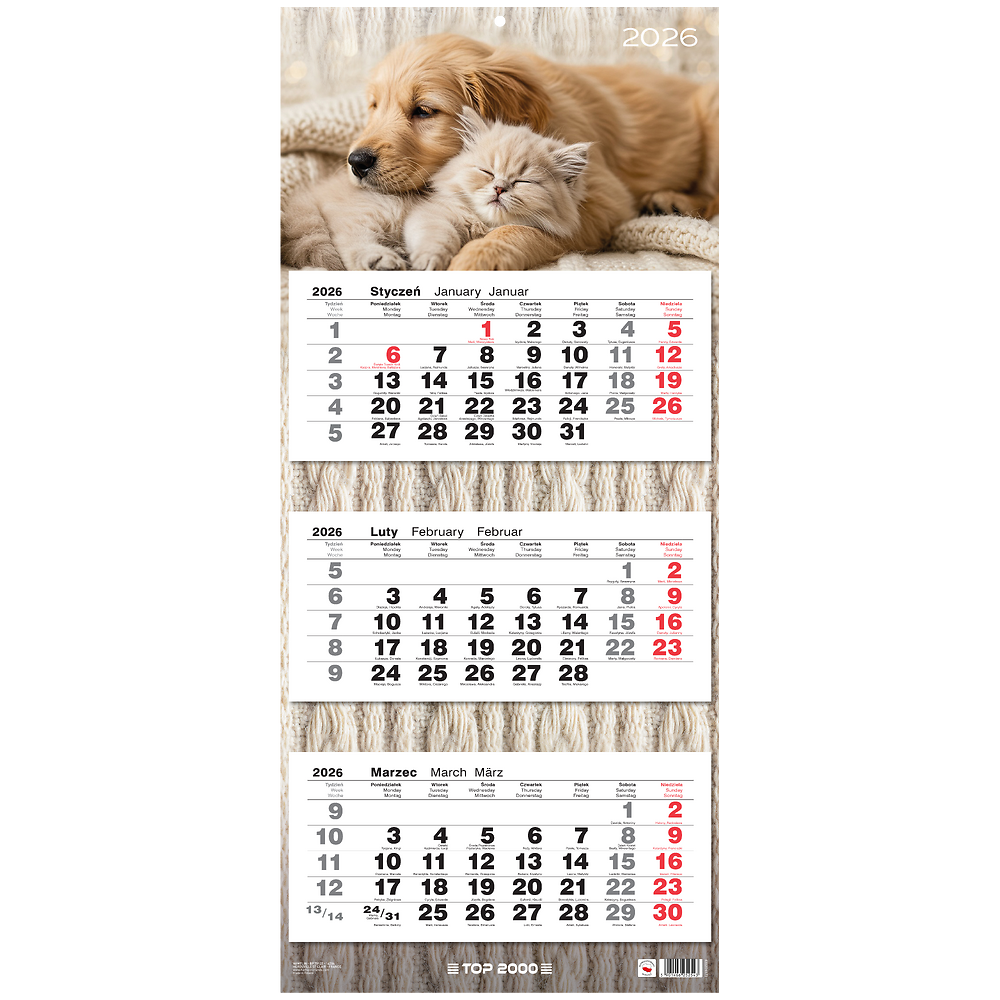 Kalendarz naścienny trójdzielny 31x72cm 2026 przyjaciele TOP-2000