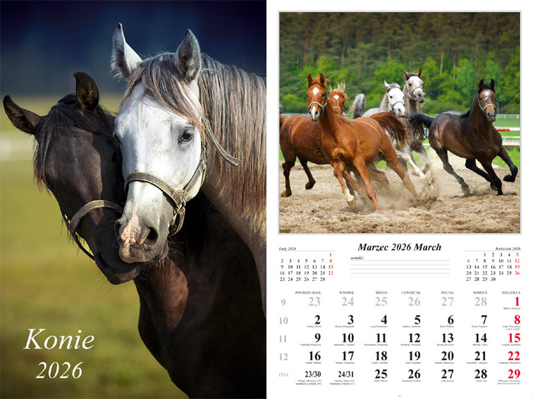 Kalendarz naścienny wieloplanszowy 32x48cm 2026 konie Radwan