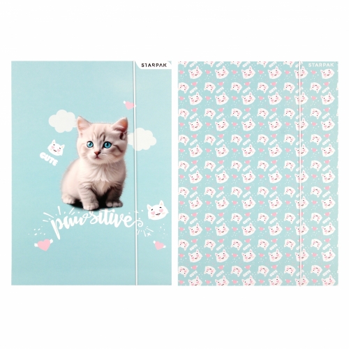 Teczka z gumką kitty 300g Starpak